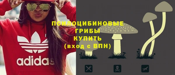 бутират Алзамай