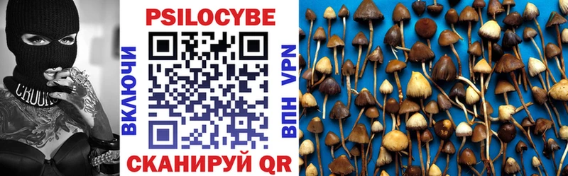 OMG как войти  Сарапул  Псилоцибиновые грибы Psilocybine cubensis 